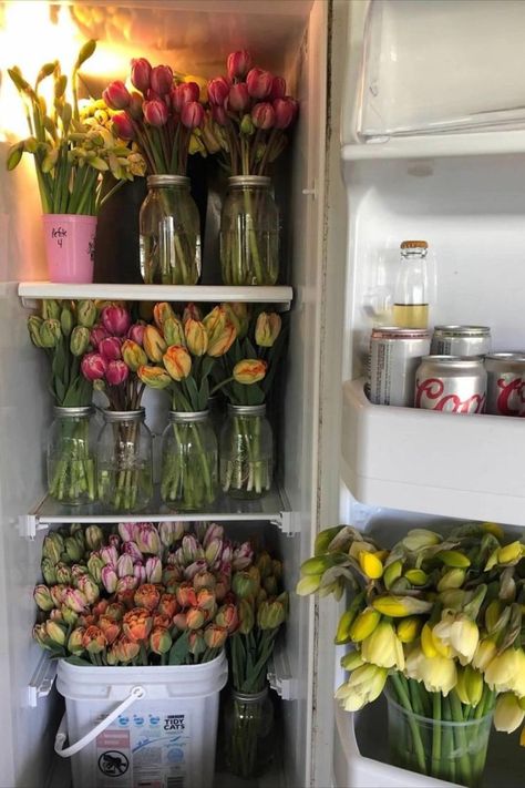 Cut Flower Business, Flower Cooler, How To Grow Tulips, Grow Tulips, Beer Refrigerator, Growing Tulips, Country Property, Growing Cut Flowers, Flower Shop Design