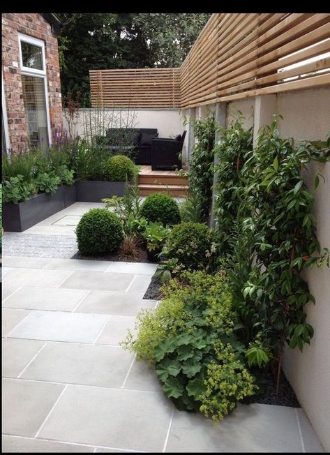 Moderne Have, Small Courtyard, Small Courtyard Gardens, Courtyard Gardens Design, House Gallery, Modern Garden Design, Cottage Gardens, Landscape Designs, Have Inspiration