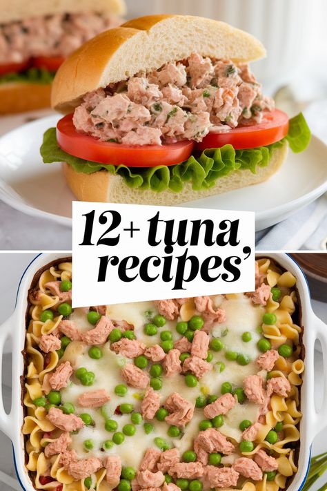 Explore tasty tuna recipes perfect for lunch or dinner. From zesty tuna salads to savory casseroles these meals are quick and easy. Perfect for seafood lovers these dishes are healthy and packed with flavor. Try them today for a delightful twist on your everyday cooking! Enjoy fresh ingredients and family favorites! Fresh Tuna Recipes Baked, Blue Fin Tuna Recipes, Bluefin Tuna Recipe, Ceviche Fish, Fresh Tuna Recipes, Spicy Tuna Sushi, Tuna Salads, Tuna Sushi Rolls, Seared Tuna Steaks