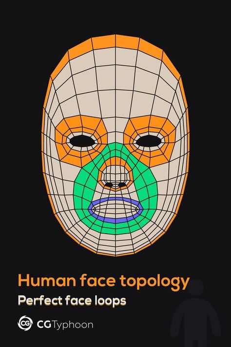 Basic Facial, Face Topology, 3d Karakter, Polygon Modeling, 3d Modeling Tutorial, I Don't Understand, Perfect Face, Human Anatomy Art, Blender Tutorial