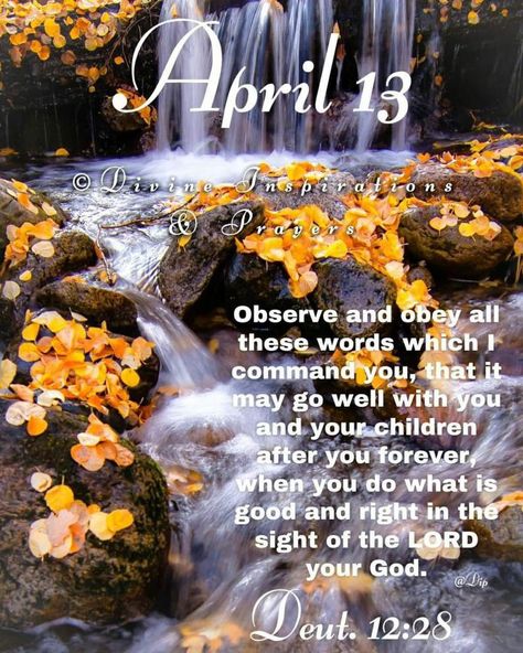 April Images, Good Morning Happy Sunday, Weekday Quotes, Heart Iphone Wallpaper, Good Morning God Quotes, Shop With Me, King James Bible, Whats Good, You Are Loved