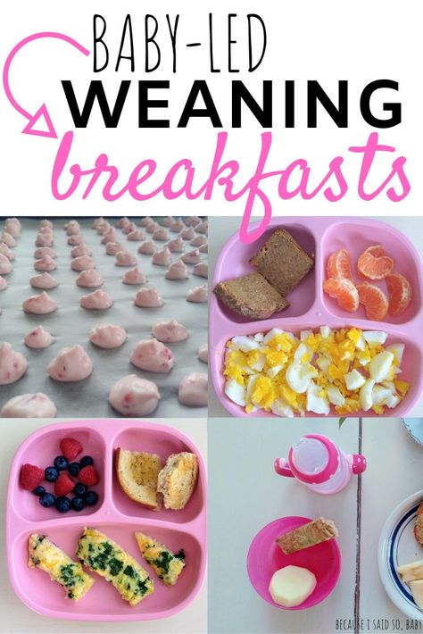 Easy Baby-Led Weaning Breakfast Ideas | These BLW recipes are perfect for babies 7 months and up! Baby breakfast ideas for 7 months old | baby breakfast ideas for 8 months old | blw meals that are also good for toddlers | baby-led weaning breakfast recipes | yogurt | oatmeal | eggs | #babyledweaning #selffeeding #breakfast #recipes #ideas #easy #healthy #makeahead #eggs #babyled #7monthsold #8monthsold via @becausebaby Baby Breakfast Ideas, Blw Breakfast Ideas, Baby Led Weaning Breakfast, Blw Recipes, Baby Led Weaning First Foods, Weaning Foods, Baby Breakfast, 7 Month Old Baby, Baby Led Feeding