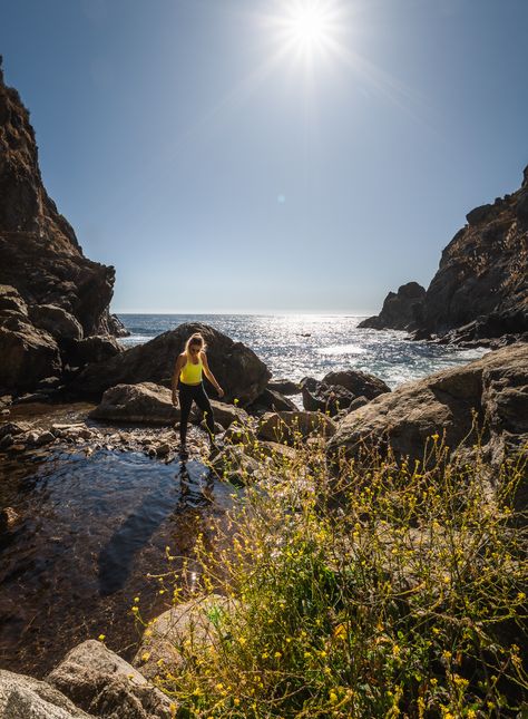 Partington Cove: The Best Short Hike in Big Sur, California - The Break of Dawns Pch Road Trip, California Roadtrip, Mini Waterfall, Mcway Falls, Big Sur California, Redwood Tree, Pacific Coast Highway, Tide Pools, Pacific Coast