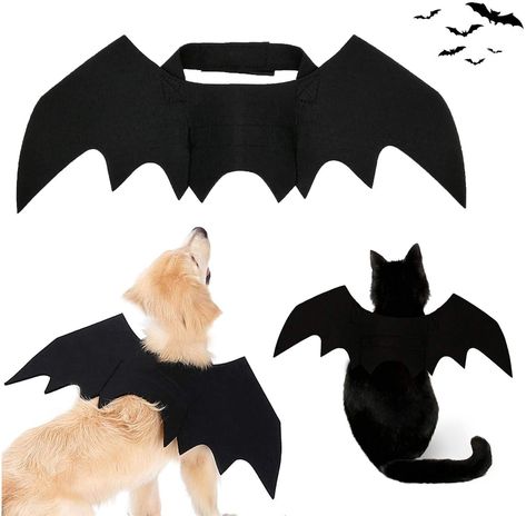 Dog Shark Costume, Bat Wings Costume, Cute Dog Costumes, Dog Costumes Funny, Pet Costumes Cat, Bat Animal, Bat Costume, Diy Dog Costumes, Pet Halloween Costumes