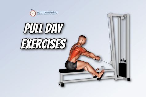 Pull Day Exercises Pull Day Exercises, Push Day Exercises, Total Body Workouts, Push Day Workout, Push Pull Workout, Pull Day Workout, Pull Day, Stiff Leg Deadlift, Dumbbell Fly