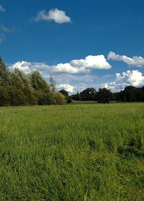 #meadow #late_summer #summer #clouds #green #blue_sky #trees #wide #pasture #aesthetic #picnick Pasture Aesthetic, Summer Clouds, Green Pastures, Green Meadow, Play Pretend, Blue Sky Clouds, Heavenly Places, Green Pasture, Foggy Morning