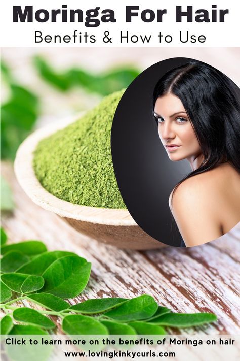 Moringa is a herb that has been used for centuries because of its health benefits and medicinal value. Moringa is loaded with nutrients such as Vitamins A, B, C & E, Iron, Zinc and Essential Amino Acids which are very valuable to the hair. Moringa Hair Mask For Hair Growth, Moringa For Hair Growth, Moringa Benefits Hair, Moringa Tea Benefits, Moringa For Hair, Ayurvedic Herbs For Hair, Hair Lossing Tips, Hair Lossing, Hair Herbs