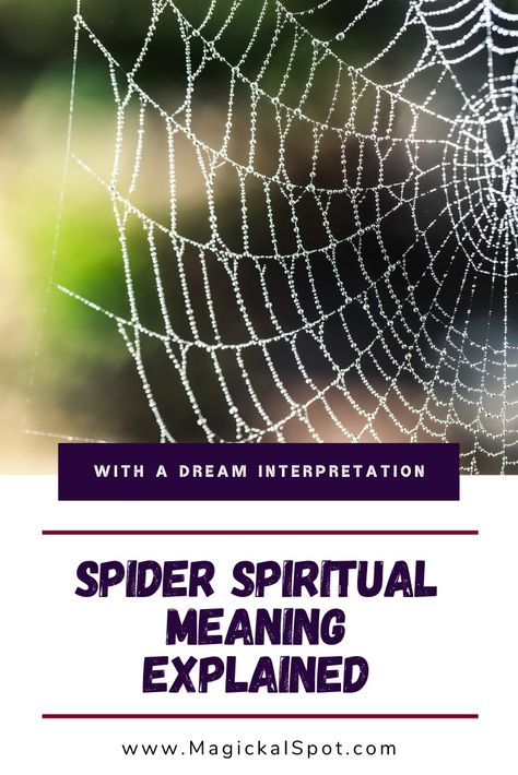 Dream Meanings Symbols Animals, Spider Spiritual Meaning, Spider Symbolism, Interpretation Of Dreams, Spider Card, Animal Signs, Spirit Animal Meaning, Animal Meanings, Animal Symbolism