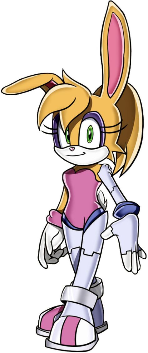 Bunnie Rabbot, Sonic Mania, Joseph Joestar, Sonic And Amy, Sonic Fan Characters, Sonic Adventure, Sonic Art, The Rabbit, Favorite Pins