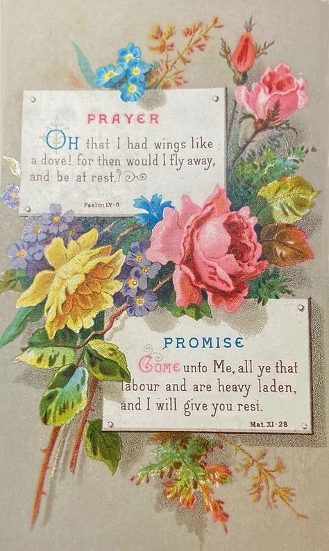 Vintage Scripture Images, Christian Facebook Cover, Catholic Decor, Bible Verse Cards, Beautiful Scripture, Beautiful Bible Verses, Good Morning Beautiful Images, Paper Flower Crafts, Verses For Cards