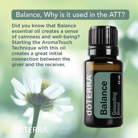 Why doTERRA Balance essential oil is good for the AromaTouch Technique Why Doterra, Aromatouch Technique, Massage Therapy Rooms, Doterra Balance, Essential Oils For Massage, Essential Oil Mixes, Essential Oil Benefits, Doterra Oils, Oil Uses