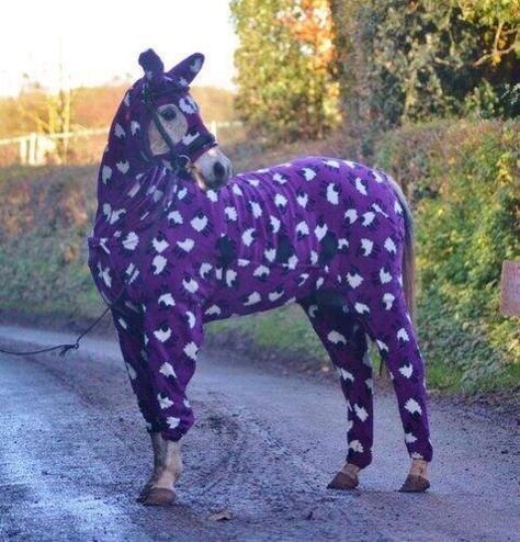 Horse pajamas Horse Onesie, Purple Horse, Funny Horses, Funny Horse, Cute Horses, Horse Love, Funny Animal Pictures, A Horse, Animal Memes