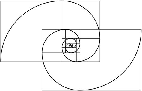 Double Fibonacci Spiral design. Fibonacci Spiral Art, Fibonacci Tattoo, Fibonacci Golden Ratio, Golden Section, Divine Proportion, Spiral Art, Golden Spiral, Fibonacci Sequence, Fibonacci Spiral