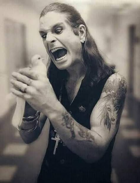 Ozzy Osbourne Bat, Ozzy Osbourne Quotes, Goth Humor, The Osbournes, Music Pic, Back In 1982, Images Of Music, Rock Meme, Ozzy Osbourne Black Sabbath