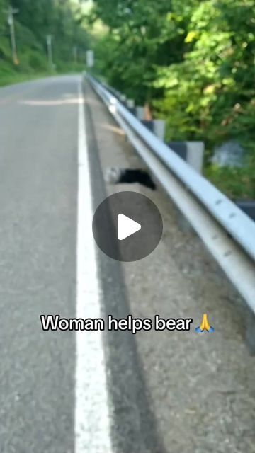 Southeastern Nurseries LLC on Instagram: "Thank you for saving the bear! 🐻 This video is from @sarahjlindgren on TikTok. #AnimalLove #animals #animalfeature #gardening #landscaping #CommercialLandscaping" Rescuing Animals, Funny Bunny Videos, Saving Animals, Gardening Landscaping, Commercial Landscaping, Wow Video, Tuxedo Cat, Funny Bunnies, Animal Videos