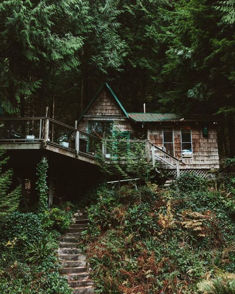 A House In The Woods, Forest Cabin, Cottage In The Woods, Little Cabin, Dream Cottage, Design Seeds, Cabins And Cottages, Forest House, Cabin Life