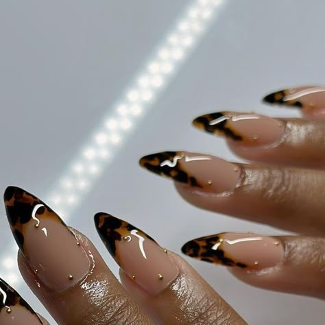 Fall Nails 2023 Trends Almond, Almond Nails Tortoise, Tortoise And Gold Nails, Tortoise Shell Nails Almond, Tortious Shell Nails French, Tortus Shell Nails, Apres Gel X Nails Almond, Tortoise Shell Nails With Gold, Toirtoshell Nails