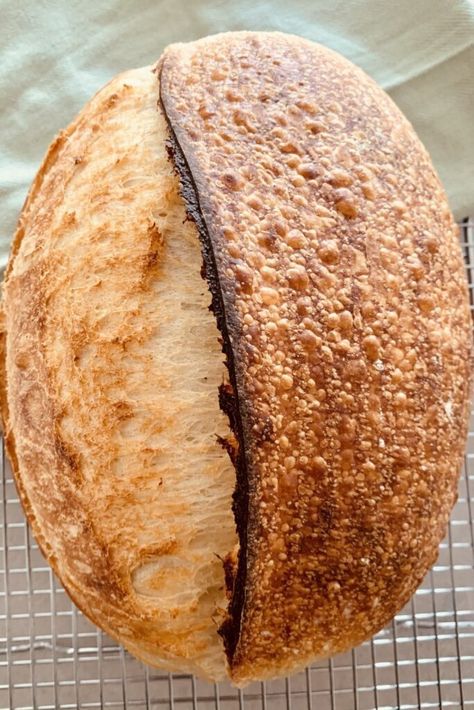 Fermented Sourdough Bread, Pantry Mama, Long Fermented Sourdough Recipes, Cold Ferment Sourdough, Sourdough Cold Fermentation, Bulk Fermenting Sourdough Chart, Sourdough Bread Cold Ferment, Long Fermented Sourdough Bread, Sourdough Bulk Fermentation Temperature