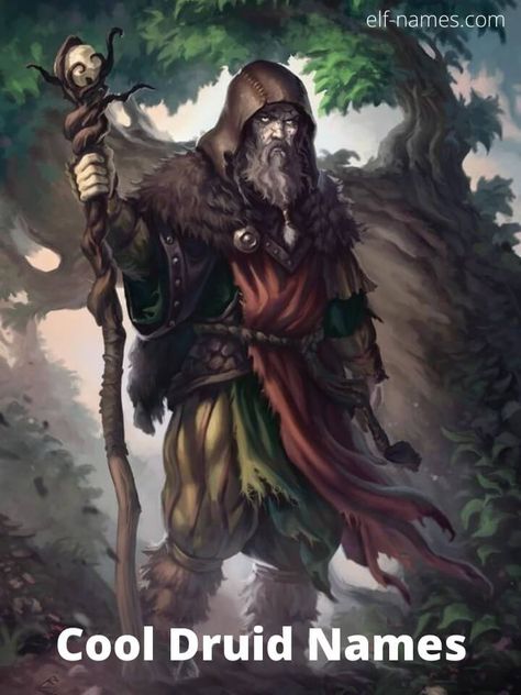 Dnd Druid, Deciduous Forest, Arte Viking, Heroic Fantasy, Character Images, Forest Path, Dungeons And Dragons Characters, Gandalf, High Fantasy