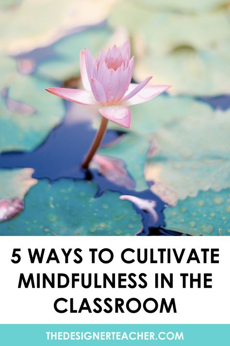 Teachers, learn 5 ways to incorporate mindfulness into your classroom. #teaching #mindfulness Mindfulness For Teachers, Elementary Health Lessons, Mindfulness Classroom, Classroom Management Elementary, Upper Elementary Resources, Special Education Elementary, Health Lessons, Classroom Management Tips, Upper Elementary Classroom