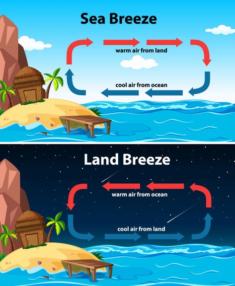 Diagram showing sea and land breeze Free... | Free Vector #Freepik #freevector #water #education #nature #cartoon Sea Breeze And Land Breeze Diagram, Land Breeze And Sea Breeze, World Geography Map, Geography Notes, Climate And Weather, Geography Classroom, Basic Geography, Earth Science Lessons, Ias Study Material