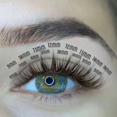 (1) Wispy Lashes: Tips And Tricks Natural Lashes Mapping, Doll Hybrid Lash Extensions, Eyelashes 1:1, Doll Eye Lash Extensions Natural, What Lashes For Eye Shape, Doe Eye Extensions, Short Wispy Lash Extensions Mapping, Natural Wispy Lashes Mapping, Wispy Classic Lashes Mapping