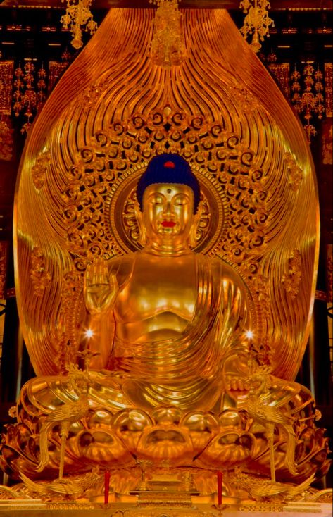 Buddhist Aesthetic, Buddhism Aesthetic, Golden Aesthetics, Beautiful Statues, Buddhist Statue, Lavender Aesthetic, Bucket Lists, Buddhism, Buddha Statue