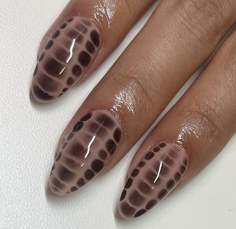 Croc Nails Brown, Brown Snake Skin Nails, Brown Alligator Nails, Crocodile Skin Nails, Crocodile Nails Brown, Brown Snake Nails, Snake Pattern Nails, Reptile Nails, Snakeskin Nails