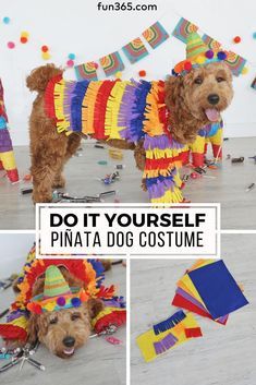 Cute Dog Costumes, Dog Onesies, Room Decor Crafts, Home Decor Diy Crafts, Diy Pinata, Diy Dog Costumes, Dog Clothes Diy, Pet Halloween Costumes, Animal Costumes