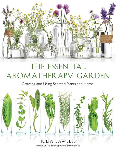 This is your personal guide to growing and using scented plants! Combining the popular subjects of gardening and aromatherapy, The Essential Aromatherapy Garden contains everything you need to know about growing and using scented plants. Learn about the history of aromatic gardens, what to grow, how to plan an apothecary garden, and how to enhance your health and home with fragrant herbs and flowers. This book includes detailed profiles of more than 50 aromatic plants, with information on their Aromatherapy Garden, Oils For Healing, Apothecary Garden, Scented Plants, Medicine Garden, Scent Garden, Medicinal Herbs Garden, Garden Growing, Herbs And Flowers