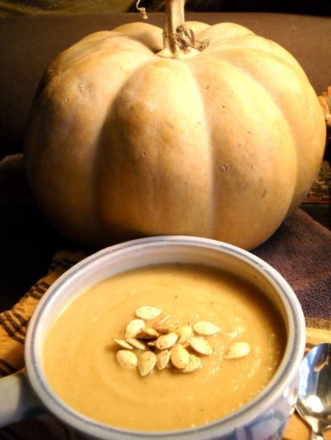 White Pumpkin Soup, White Pumpkin Soup Recipe, White Pumpkin Recipes Fresh, Gluten Free Holiday, Pumpkin Soup Recipe, Roasted Pumpkin Seeds, Roast Pumpkin, Pumpkin Soup, White Pumpkins