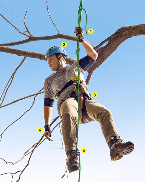 The+Gear+You+Need+to+Climb+the+Trees  - PopularMechanics.com Arborist Climbing Trees, Tree Climbing Equipment, Arborist Climbing, Rock Climbing Equipment, Climbing Knots, Climbing Equipment, Climbing Harness, Abseiling, Tree Climbing