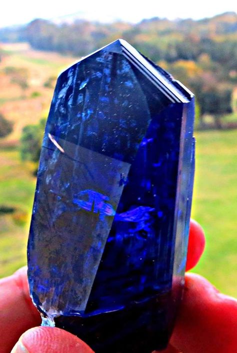 Beautiful Tanzanite crystal from Tanzania South Africa.   Via: Steve Ulatowski and New Era Gems Tanzanite Crystal, Rocks And Fossils, Sapphire Birthstone, The Dark Crystal, Tanzanite Ring, Mineral Stone, Minerals And Gemstones, Rocks And Gems, Gem Stones