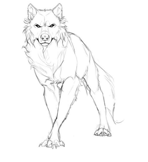 Drawing Wolf, Wolf Poses, Wolf Sketch, Wolf Tattoo Design, Canine Art, Wolf Drawing, Wolf Tattoos, A Wolf, Animal Sketches