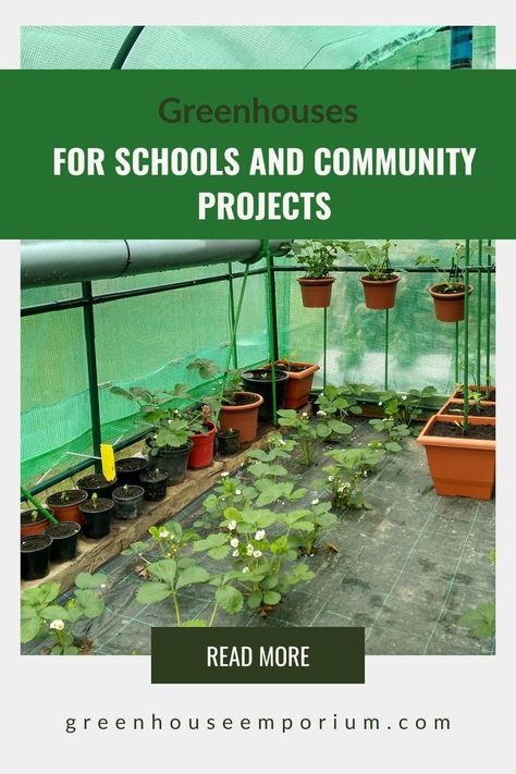 Greenhouse Classroom, School Greenhouse, Conservatory Greenhouse, Best Greenhouse, Community Projects, Outdoor Exercises, Greenhouse Kit, Outdoor Classroom, School Garden