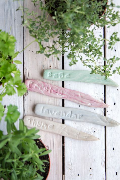 Adorable! DIY Plant labels. Make stamped clay markers for your herb garden. Garden Markers Clay, Plant Labels Diy, Clay Garden Markers, Clay Feathers, Porcelain Recipe, Stamped Clay, Air Dry Modeling Clay, Flowers Clay, Herb Garden Markers