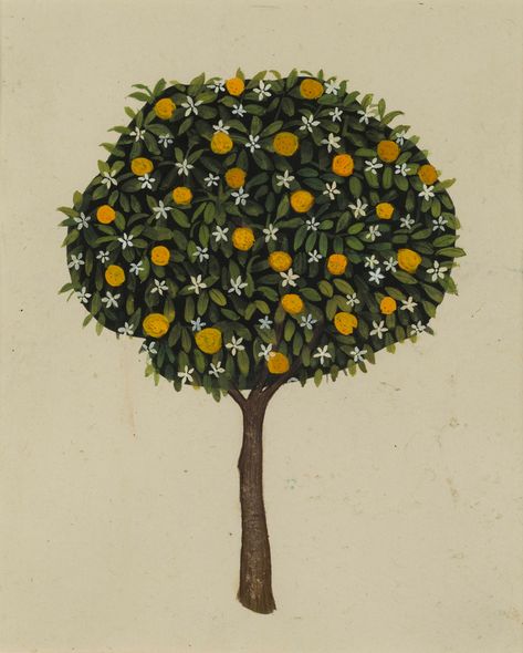 Jethro Buck, Horse Chestnut Trees, Mughal Art Paintings, Tree Study, Pichwai Paintings, Handmade Paint, Miniature Trees, Henri Rousseau, Indian Folk Art