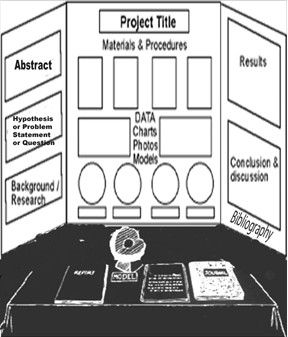 Science Fair Board, Science Fair Projects Boards, Presentation Ideas For School, Social Studies Projects, Social Studies Notebook, Creative School Project Ideas, Social Studies Elementary, Social Studies Lesson, Project Board