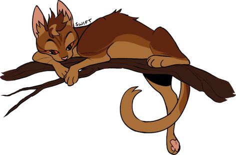 Warrior Cat Designs, Brown Warrior Cat Oc, Warrior Cats Lionblaze, Squirrelflight Warrior Cats, Warrior Cats Squirrelflight And Brambleclaw, Warriors Squirrelflight, Warrior Cats Books, Cat Anatomy, Warrior Cats Fan Art