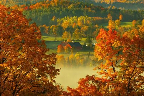 beautiful places in vermont | Peacham VT | Beautiful, Interesting, and Fun Places | Pinterest Vermont Foliage, Cool Name, New England Fall, Beautiful Farm, Autumn Magic, Photography Contest, Entertainment Company, Autumn Nature, Autumn Scenery