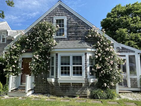 Cape Cod Beach House Nantucket Cottage, Nantucket Style Homes Exterior, Theatre Workshop, Cape Cod Beach House, Nantucket Style Homes, Exterior Door Colors, Nantucket Cottage, Cape Cod Cottage, Tiny House Village