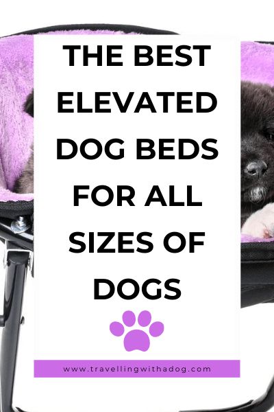 Diy Elevated Dog Bed, Doggie Beds, Raised Dog Beds, Mom Crafts, Pet Camping, Elevated Dog Bed, Outdoor Dog Bed, Breeds Of Dogs, Elevated Bed