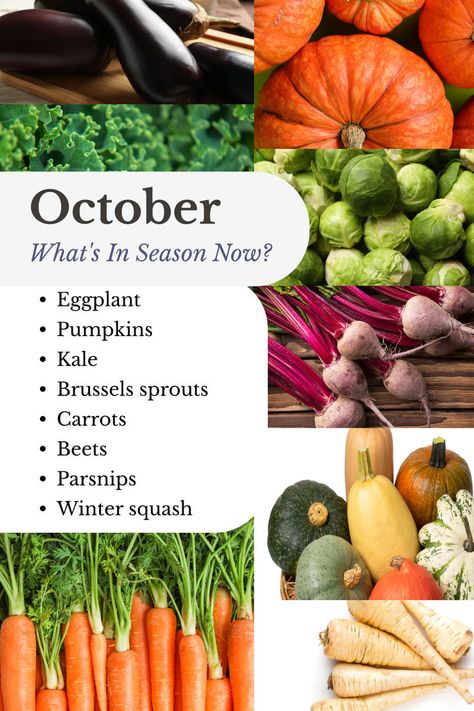 October offers a perfect blend of summer's last flavors and fall's fresh favorites! Availability may vary by location, but there's always something seasonal to enjoy! #nationhealthmd #healing #wellness #holistichealth #seasonal #vegetables #october Seasonal Vegetables, Whats In Season, Learn Facts, Winter Squash, Parsnips, Brussel Sprouts, Holistic Health, Organic Ingredients, Beets