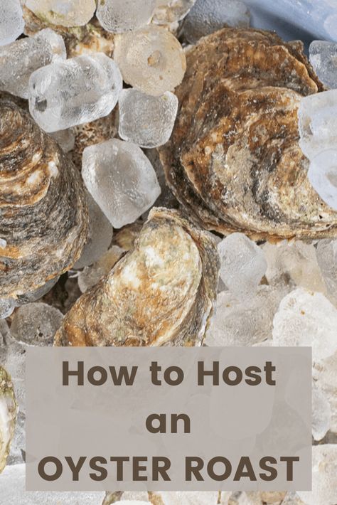 Oyster Roast Hosting Made Easy Oyster Roast Party, Low Country Boil Party, Cajun Turkey, Best Oysters, Oyster Roast, Oyster Recipes, Grilled Pork Tenderloin, Meat Markets, Saltine Crackers