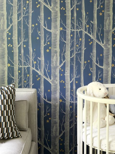 Twilight forest wallpaper for a darling boys nursery. Rachel Halvorson Designs. Silver Tree Wallpaper, Nursery Wallpaper Boy, Baby Nursery Wallpaper, Birch Tree Wallpaper, Cole And Son Wallpaper, Baby Wallpaper, Wood Stars, Woodland Scene