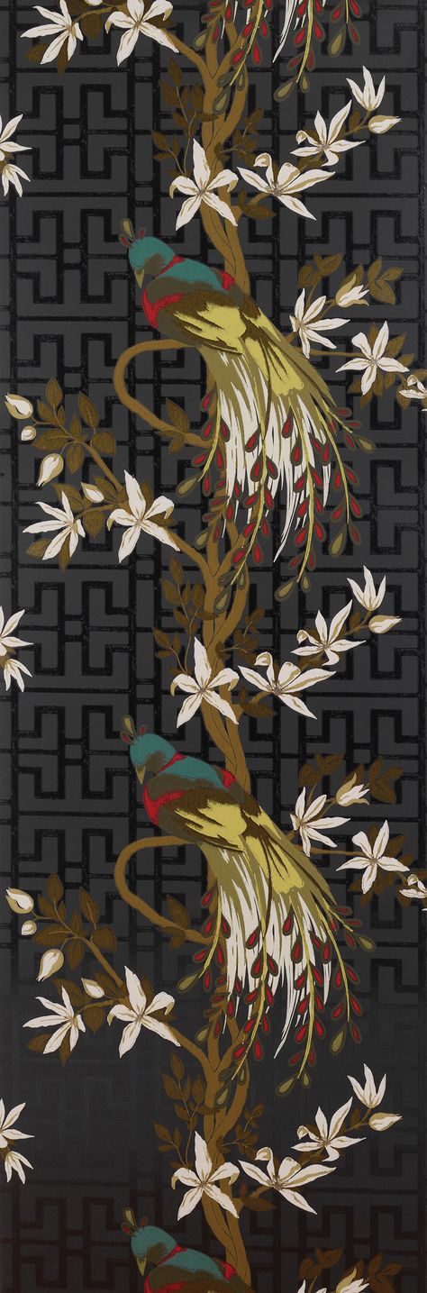 Osborne Nina Campbell Wallpaper, Wallpaper In Black, Entertainment Wall Units, Nina Campbell, Entertainment Wall, Chinoiserie Wallpaper, Wallpaper Online, Pretty Prints, Burke Decor