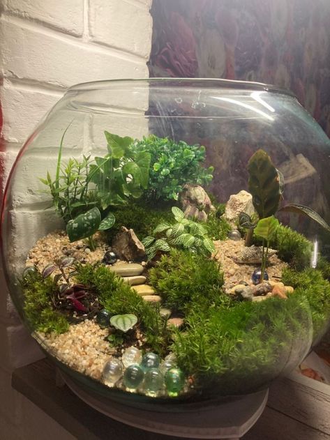 Fish Bowl Terrarium, Terrarium Collection, Glass Bowl Terrarium, Bowl Terrarium, Terrarium Scene, Build A Terrarium, Decorative Glass Jars, Beautiful Terrariums, Succulent Garden Design