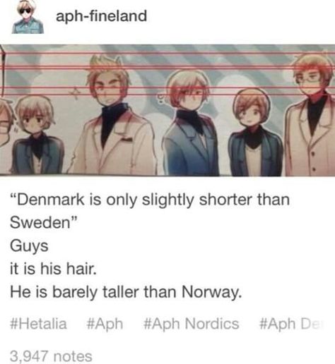 Haha! Probably. But you know, Danes are naturally tall people in the world. I'm slightly shorter than Iceland, so they are freaking tall compared to me. Hetalia Nordics, Hetalia Anime, Hetalia Funny, Hetalia Ships, Hetalia Axis Powers, Axis Powers, Hetalia, Denmark, Sweden