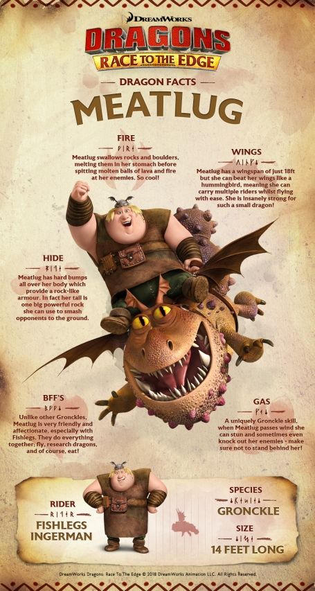 Httyd Dragons Species List, Book Of Dragons Httyd, Dragon Facts, Dragons Riders Of Berk, Dragon Book, Dragon Birthday Parties, Dragon Names, Httyd Art, Dreamworks Dragons