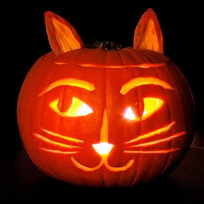 It's the festive season and we love decorating our home which is why we've compiled a list of the best pumpkin carving ideas that look awesome. Jack O Lantern Cat, Cat Pumpkin Carving, Pumpkin Carved, Cute Pumpkin Carving, Uhyggelig Halloween, Halloween Safety, Halloween Pumpkin Carving Stencils, Pumkin Carving, Creative Pumpkin Carving